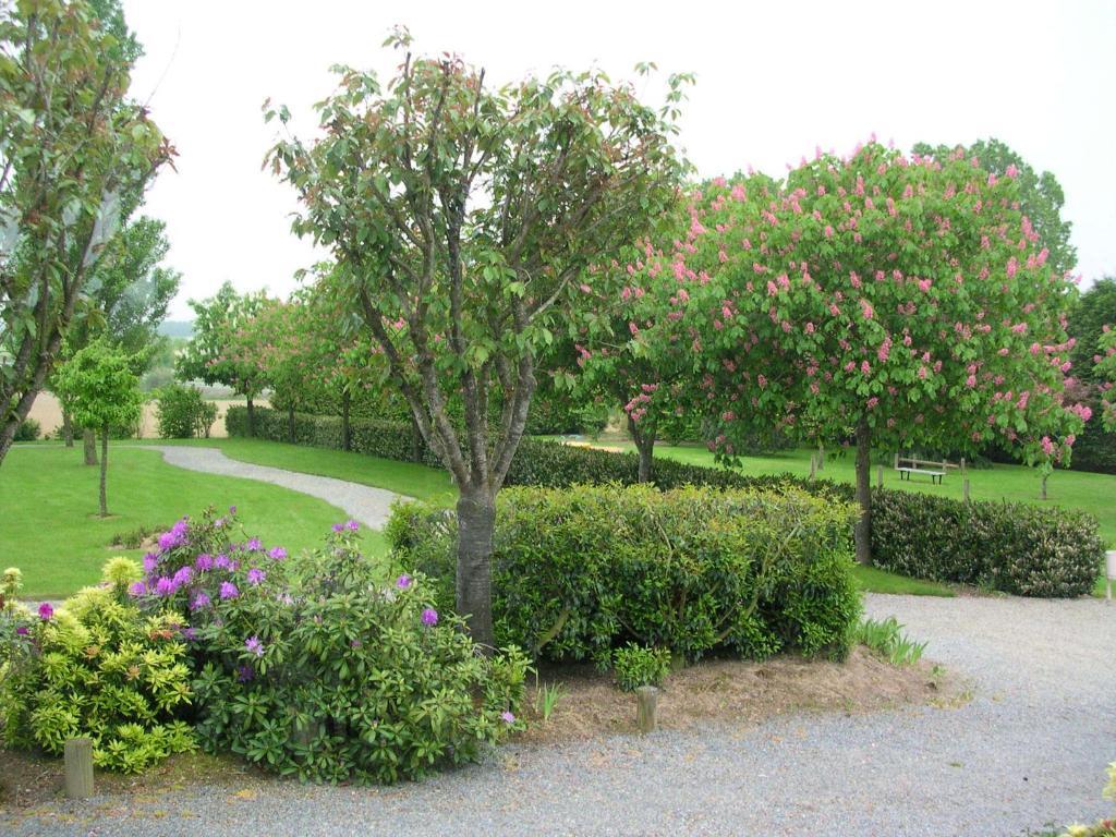 Hotel le Bretagne Louvigné-de-Bais Eksteriør billede